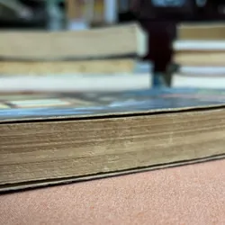 Thiên tài bí hiểm 🌊 692839