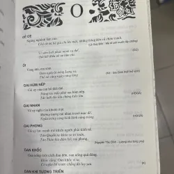 TIẾNG VIỆT TRONG THƯ TỊCH CỔ VIỆT NAM - THẠCH GIANG 934496