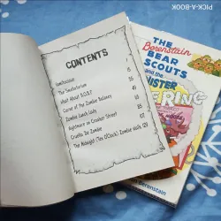 Combo 3 truyện và thơ giải trí luyện đọc Tiếng Anh về zombie, vũ trụ và gấu 711896