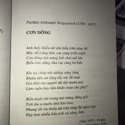 Nắng bạch dương  997407