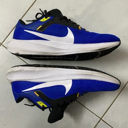 Giày chạy bộ Nike Pegasus 40  384068