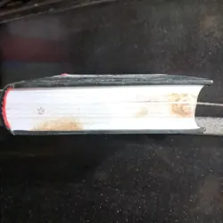 Linh Sơn - Cao Hành Kiện 1000556