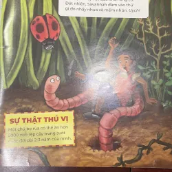 Thảm cỏ xanh - khám phá môi trường tự nhiên bên trong sân vườn  - hộp háo hức  1028175