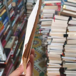 Thơ Mưa Thuận Thành - Hoàng Cầm 968695