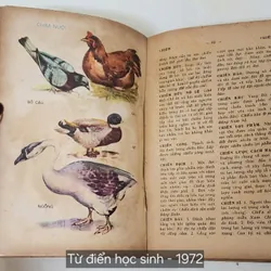 TỪ ĐIỂN HỌC SINH 1972 - tranh in màu 702742