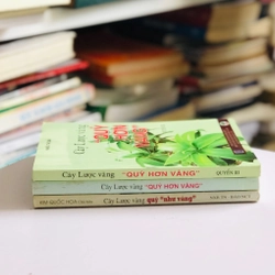 BỘ 3 TẬP CÂY LƯỢC VÀNG  526900
