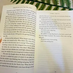 [Sách tiếng Anh 2hand] Like new 90% - 📚 Serafina and the Twisted Staff - Robert Beatty 715188