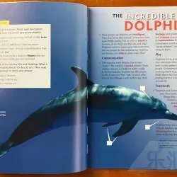 Reading explorer (Sách nhập) - 6 quyển - Phiên bản mới 758751