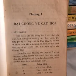 Trồng hoa cây cảnh trong gia đình - Nguyễn Huy Trí - Đoàn Văn Lư 1001807