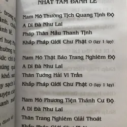Phật thuyết đại thừa vô lượng thọ trang nghiêm thanh tịnh bình đẳng giác kinh  1009767