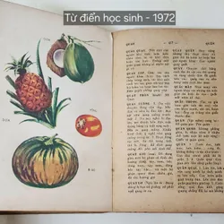 TỪ ĐIỂN HỌC SINH 1972 - tranh in màu 702742