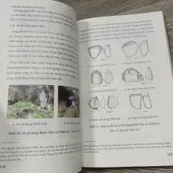 Tiền Sử Vùng Lòng Hồ Thủy Điện Hòa Bình Trên Địa Bàn Tỉnh Sơn La- Nguyễn Khắc Sử  782340
