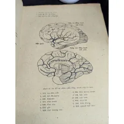 Hội chứng về bệnh học thần kinh - B.S Lê Văn Thành 605462