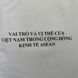 VAI TRÒ VÀ VỊ THẾ CỦA VIỆT NAM TRONG CỘNG ĐỒNG KINH TẾ ASEAN(Đông Nam Á) 702230
