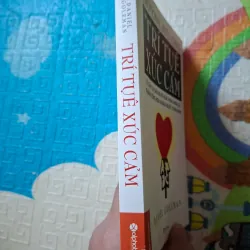 Trí Tuệ Xúc Cảm 936243