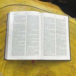 TỪ ĐIỂN TIẾNG VIỆT THÔNG DỤNG- NGUYỄN NHƯ Ý CHỦ BIÊN 697865