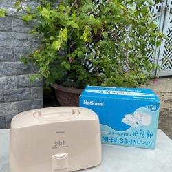 Bàn ủi hơi nước National không dây 504016