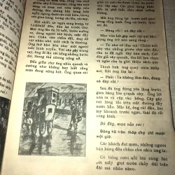Ánh Lửa Đêm Đông-Ban Giáo Sư ALPHA 956855