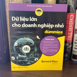 Dữ Liệu Lớn Cho Doanh Nghiệp Nhỏ For Dummies 160166