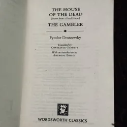 The house of the dead & the gambler  997952