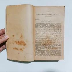 The Brothers Karamazov - F. Dostoevsky 1030031