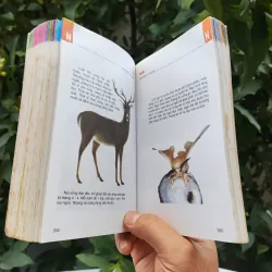 Từ Điển Tranh Về Các Con Vật - Lê Quang Long 753786