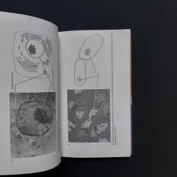 [Sách Cũ Ngoại Văn] Evolution: A Very Short Introduction 780698