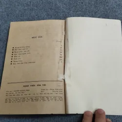 HẠNH PHÚC CỦA TÔI - DƯƠNG DUY NGỮ 689521