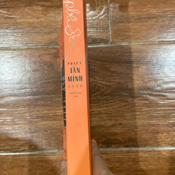 Búp bê - Pháp y Tần Minh (k1) 478924