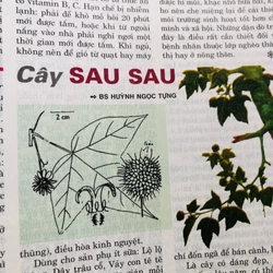 Tổng hợp báo thuốc và sức khỏe  488426