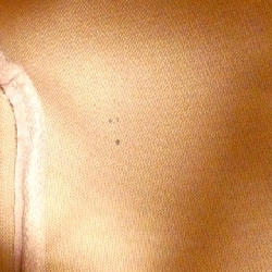 Túi xách Boston Louis Vuitton Monogram Speedy 30cm M41108 - Hàng hiệu Chính hãng 770618