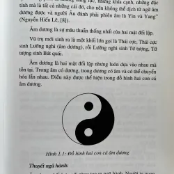 THỰC VẬT VÀ ỨNG DỤNG THỰC VẬT TRONG PHONG THỦY 759928