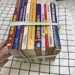 Combo sách kinh tế  701428