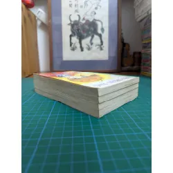 TRUYỆN TRANH KỴ SĨ CÔNG CHÚA - TSEN SHIAU JING 309328