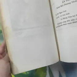 Hồi Dương Nhơn Quả 1018902