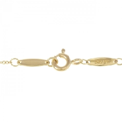 Dây chuyền Tiffany By The Yard - Hàng hiệu Authentic 842147