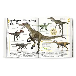 Khủng Long - DK 690114