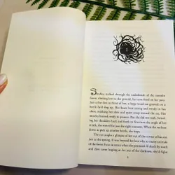 [Sách tiếng Anh 2hand] Like new 90% - 📚 Serafina and the Twisted Staff - Robert Beatty 715188