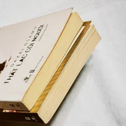 Combo Dazai Osamu 701862