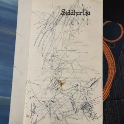 Combo 2c Hermann Hesse 994195