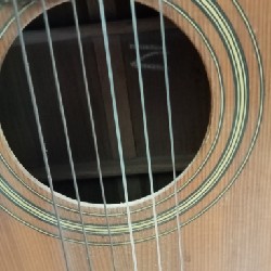 Đàn Guitar cho người mới tập 13890