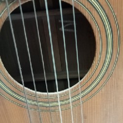 Đàn Guitar cho người mới tập 13890