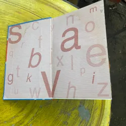 COMBO TỪ ĐIỂN ANH - VIỆT & TỪ ĐIỂN VIỆT - ANH - BÙI PHỤNG 730402