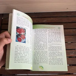 II Cây Cảnh: Xương Rồng Và Cây Mọng Nước (Sách Màu) - Dương Ngọc Hiệp 718585