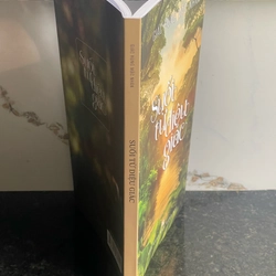 Suối từ diệu giác 507472
