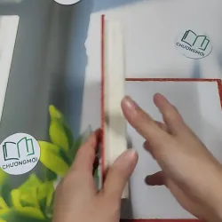 Chuyện Tình Vua Chúa Hoàng Tộc Việt Nam - Đinh Công Vĩ 990453