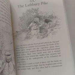 Toad Triumphant 1024548