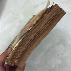 Công chúa Otomi (Bộ 2 tập) - 1988s 1019250