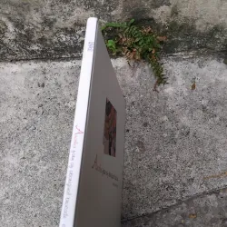 Thổ cẩm khác vựng tập hội họa của Đoàn Xuân Tặng  1006126