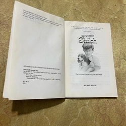 Combo CHÚ CHÓ SHILOH - Phyllis Reynolds Naylor 474074